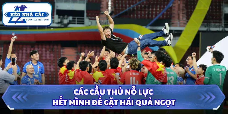 Bóng Đá Việt Nam Vô Địch Seagame Bao Nhiêu Lần Và Kỷ Lục? 3 Các cầu thủ nỗ lực hết mình để gặt hái quả ngọt