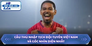 Cầu Thủ Nhập Tịch Đội Tuyển Việt Nam Và Góc Nhìn Toàn Diện 5 Cầu thủ nhập tịch đội tuyển Việt Nam