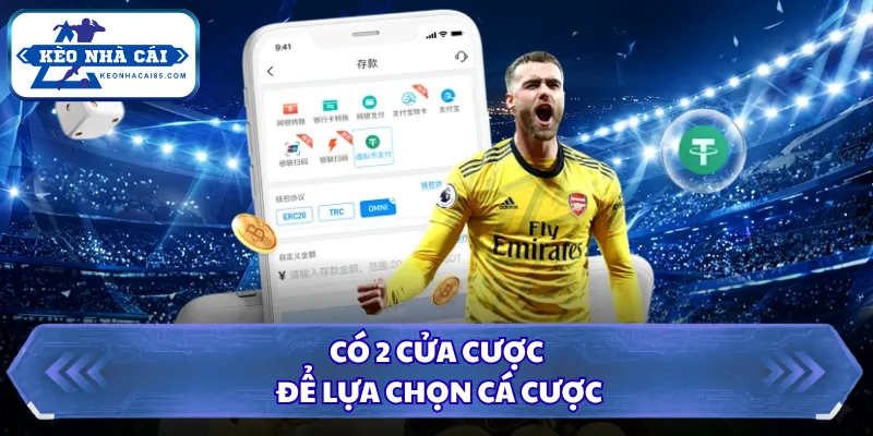 Kèo Chấp 3/4 Là Gì? Kinh Nghiệm Xương Máu Tại Kèo Nhà Cái 2 Có 2 cửa cược để lựa chọn cá cược