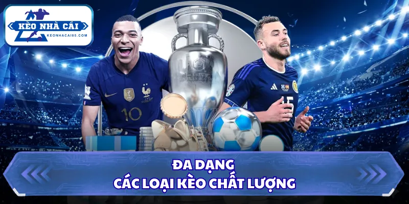 Kèo Phạt Góc Là Gì? Hướng Dẫn Soi Kèo Góc Chuẩn Xác Nhất 1 Đa dạng các loại kèo chất lượng