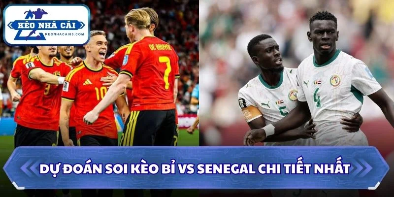 Soi kèo Bỉ vs Senegal: 03h00 - 02/07 - World Cup 2026 3 Soi kèo Bỉ vs Senegal chi tiết nhất