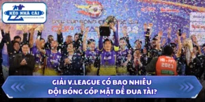 Giải V.League Có Bao Nhiêu Đội Bóng Góp Mặt Để Đua Tài? 13 Giải V.League có bao nhiêu đội