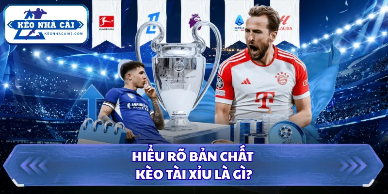Kèo Tài Xỉu Là Gì? Cách Đọc Tỷ Lệ Bóng Đá Chuẩn Xác Nhất 1 Hiểu rõ bản chất kèo tài xỉu là gì?