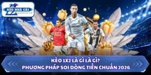 Kèo 1x2 Là Gì Là Gì? Phương Pháp Soi Dòng Tiền Chuẩn 2026 11 Kèo 1x2 là gì là gì