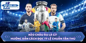 Kèo Châu Âu Là Gì? Hướng Dẫn Cách Đọc Tỷ Lệ Chuẩn Tân Thủ 5 Kèo châu Âu là gì