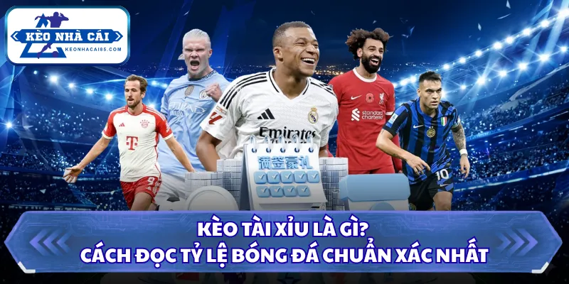 Kèo Tài Xỉu Là Gì? Cách Đọc Tỷ Lệ Bóng Đá Chuẩn Xác Nhất 4 kèo tài xỉu là gì