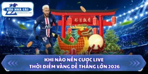 Khi Nào Nên Cược Live, Thời Điểm Vàng Dễ Thắng Lớn 2026 7 Khi Nào Nên Cược Live