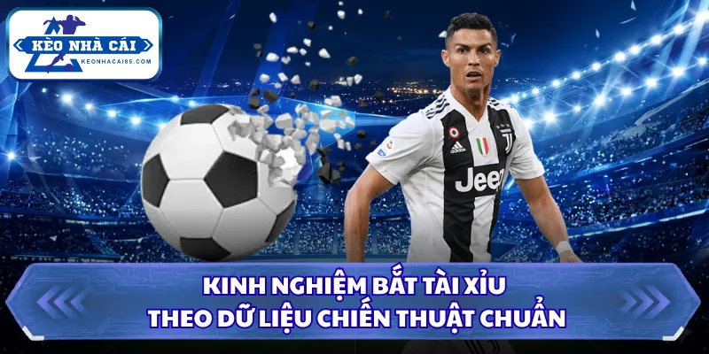 Kinh Nghiệm Bắt Tài Xỉu, Nâng Cao Khả Năng Đọc Chính Xác 1 Kinh nghiệm bắt tài xỉu theo dữ liệu chiến thuật chuẩn