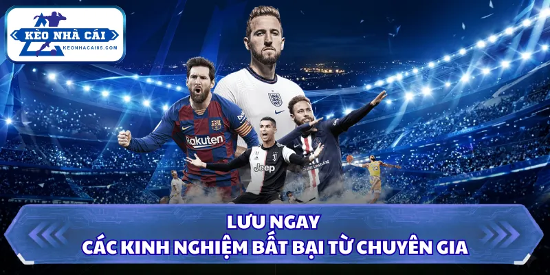 Kèo 1 1/4 Là Gì? Thông Tin Chuẩn Xác Từ Kèo Nhà Cái 2026 3 Lưu ngay các kinh nghiệm bất bại từ chuyên gia