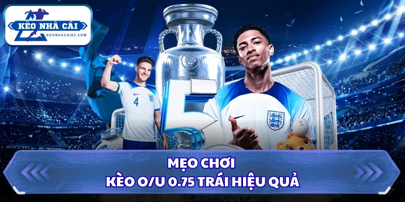 Tài Xỉu 3/4 Trái Là Gì? Mẹo Bắt Kèo Cược Chuẩn Xác Nhất 3 Mẹo chơi kèo O/U 0.75 trái hiệu quả