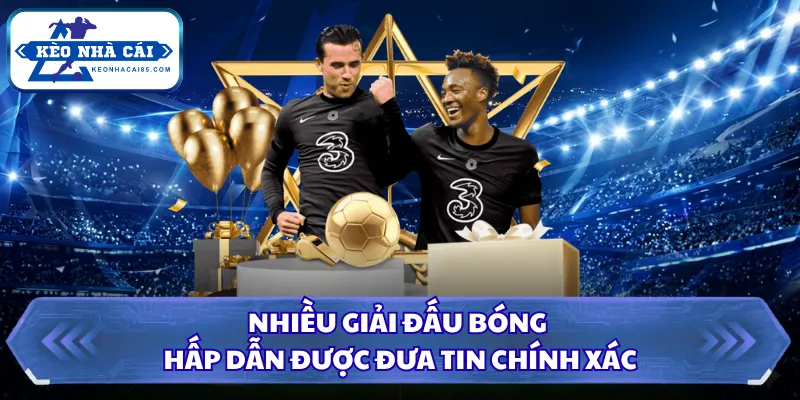 Lịch Thi Đấu - Cập Nhật Toàn Diện Nhiều Giải Đấu Lớn Nhỏ 24 Nhiều giải đấu bóng hấp dẫn được đưa tin chính xác