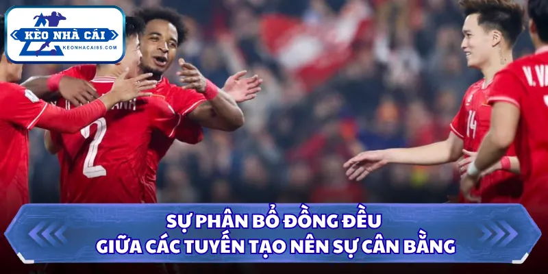 Sự phân bổ đồng đều giữa các tuyến tạo nên sự cân bằng