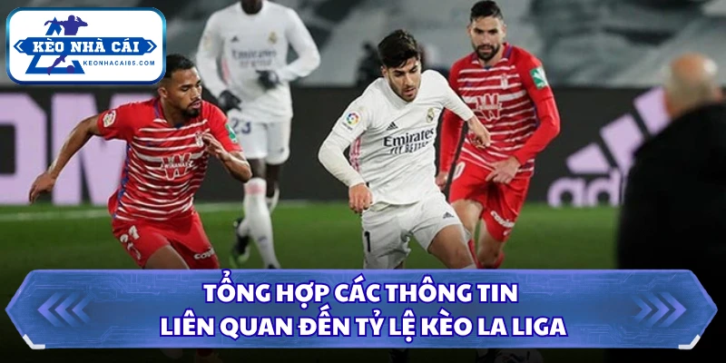Tổng hợp các thông tin liên quan đến tỷ lệ kèo La Liga
