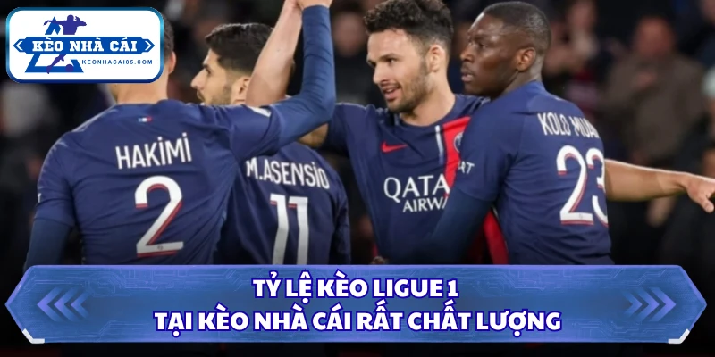 Tỷ Lệ Kèo Ligue 1 - Cập Nhật Dữ Liệu Cực Chính Xác 3 Tỷ lệ kèo Ligue 1 tại Kèo Nhà Cái rất chất lượng