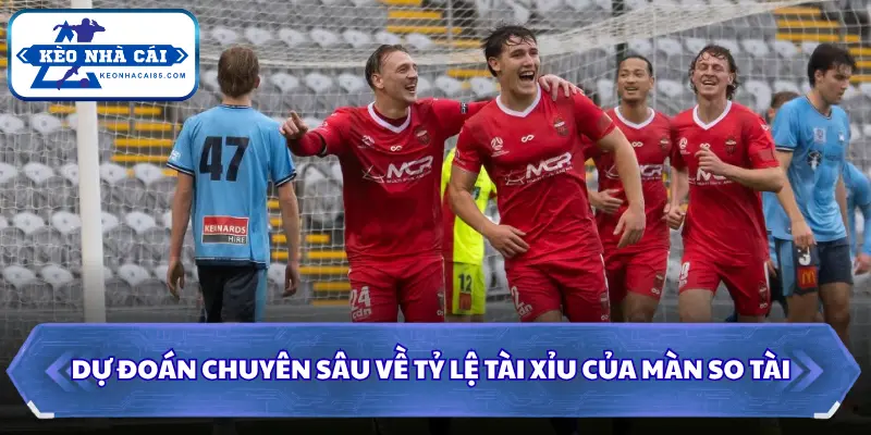 Soi Kèo Nhà Cái Wollongong Wolves Vs Sydney United Lúc 12H00 Ngày 09/08 - Giải Hạng Nhất Quốc Gia Úc 3 Dự đoán chuyên sâu về tỷ lệ tài xỉu của màn so tài