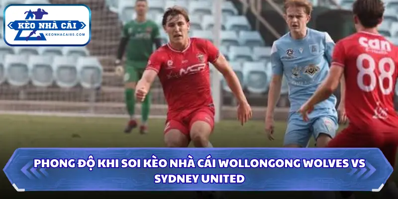 Soi Kèo Nhà Cái Wollongong Wolves Vs Sydney United Lúc 12H00 Ngày 09/08 - Giải Hạng Nhất Quốc Gia Úc 1 Phong độ khi soi kèo nhà cái Wollongong Wolves vs Sydney United