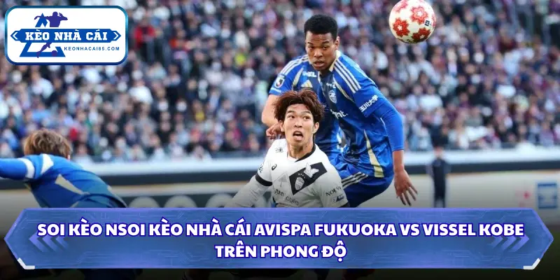 Soi Kèo Nhà Cái Avispa Fukuoka Vs Vissel Kobe Lúc 17H00 Ngày 08/08 - VĐQG Nhật Bản 1 Soi kèo nhà cái Avispa Fukuoka vs Vissel Kobe trên phong độ
